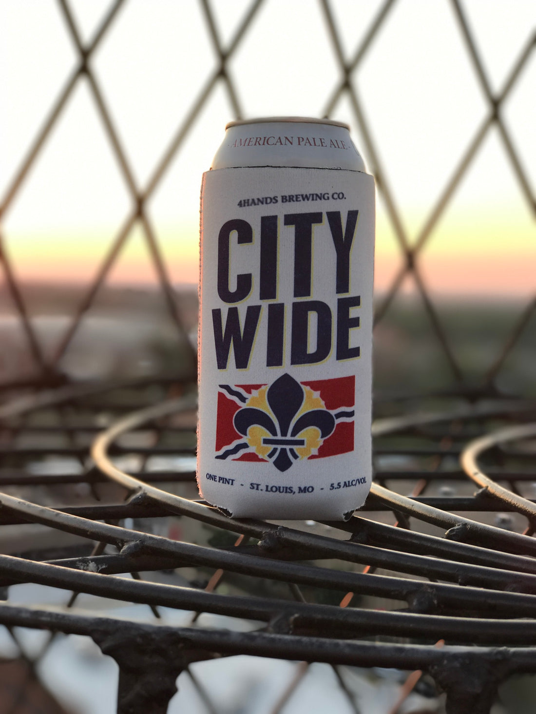 4 Hands brewing company is a must when visiting St. Louis